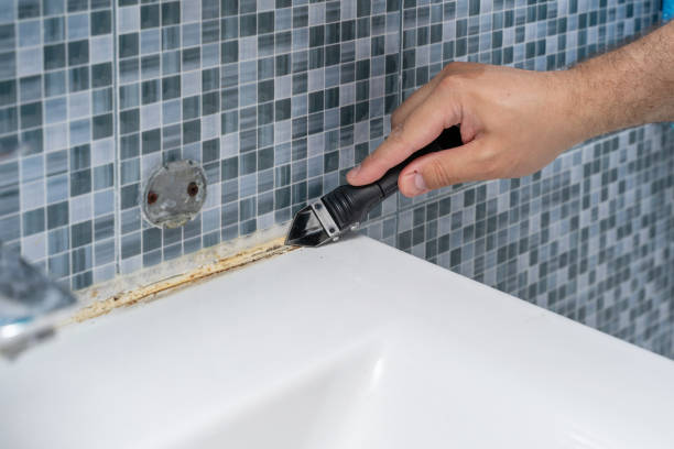 Best Residential Mold Remediation in North Pekin, IL