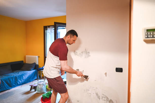 Best Basement Mold Remediation in North Pekin, IL